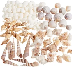 Muschelmix, natural