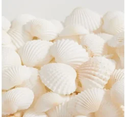 Muschelmix, natural
