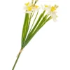 Narzissen-Bund "Yellow / White"