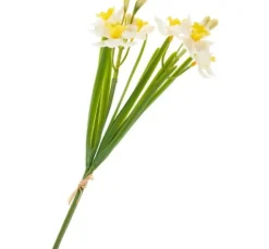Narzissen-Bund "Yellow / White"