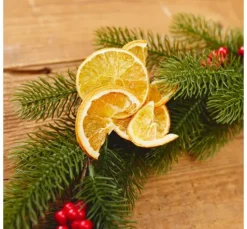 Orangenscheiben