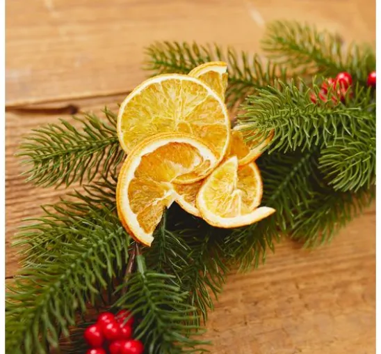 Orangenscheiben