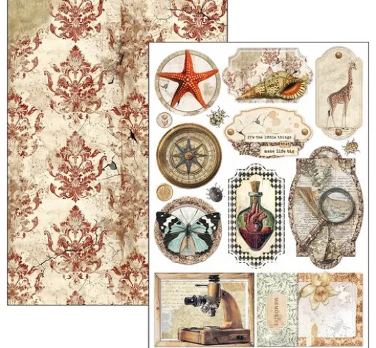 Papier-Set "Cabinet of Curiosities"