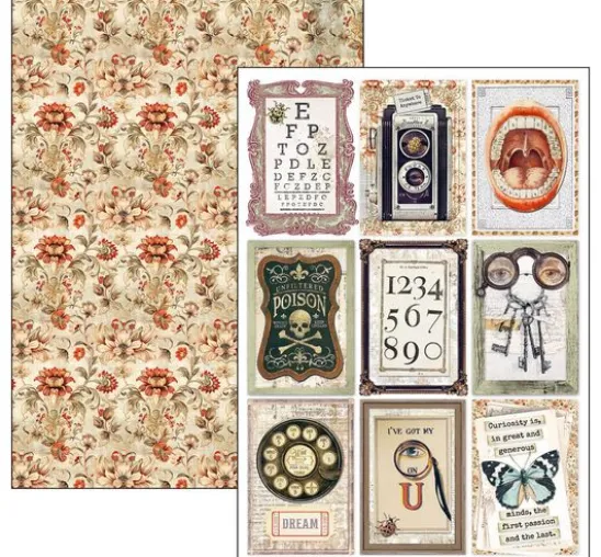 Papier-Set "Cabinet of Curiosities"