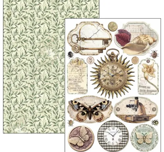 Papier-Set "Cabinet of Curiosities"