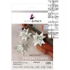 Papierstreifen "Noten"