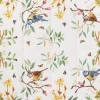 Papiertaschentücher "Bird Story"