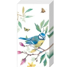Papiertaschentücher "Bird Story"