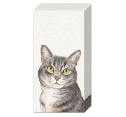 Papiertaschentücher 