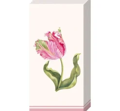 Papiertaschentücher "Driselle"