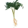 Philodendron-Busch