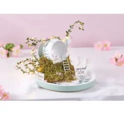 Plattenmoos, 50 g
