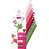 Quilling-Set "Rosen"