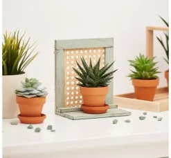 Rattan Geflecht