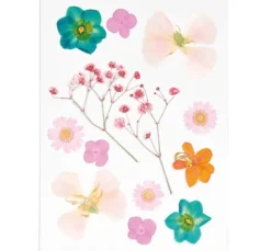 Rico Design Mix Set gepresste Blüten 