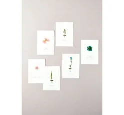 Rico Design Mix Set gepresste Blüten 