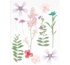 Rico Design Mix Set gepresste Blüten 