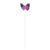 Schmetterling "Brasil"