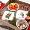 Serviette "Beary Christmas"