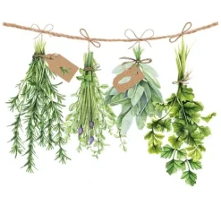 Serviette "Frische Kräuter"
