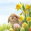 Serviette "Hase Fluffy"