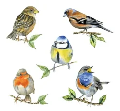 Serviette "Heimische Vögel"