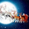 Serviette "Lunar Xmas"