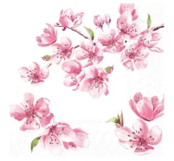 Serviette "Sakura Rose"