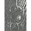 Sizzix 3D-Prägeschablone "Woodgrain by Tim Holtz"
