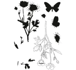 Sizzix Framelits Stanzschablone und Clear Stamps "Painted Pencil Botanical"