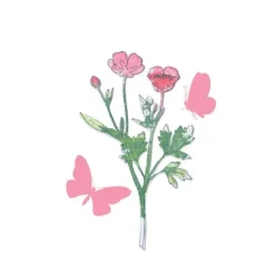 Sizzix Framelits Stanzschablone und Clear Stamps 