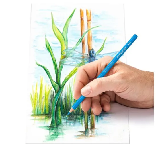 Staedtler Aquarell-Buntstifte, 12er Set