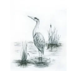STAEDTLER Watercolour