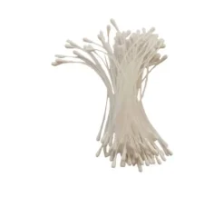 Staubblätter "Stamens"