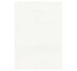 Steinpapier
