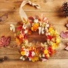 Sukkulenten Zweig