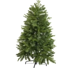 Tannenbaum