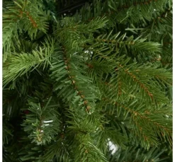 Tannenbaum