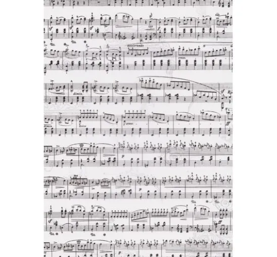 Transparentpapier "Noten"