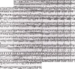 Transparentpapier "Noten"