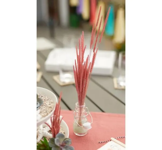 Trockenblumen "Phleum Pratensis"