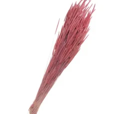 Trockenblumen