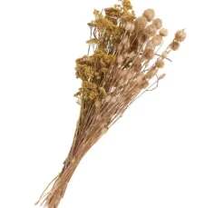 Trockenblumen Set 