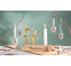 Trockenblumen Set 