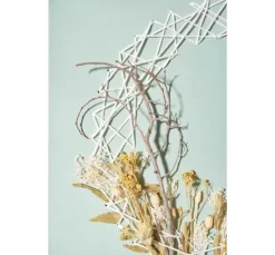 Trockenblumen Set 