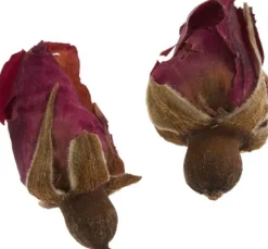Trockenblumen Sortiment, 9 Tiegel