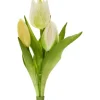 Tulpen-Bund "Sally"