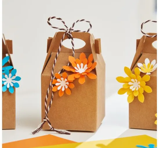 VBS Faltschachtel "Gift box"