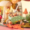 VBS Holz-Pilz