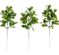 VBS Ilex Zweig